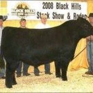 Meet your Posher, Tom